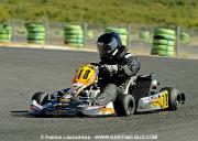 DSC_7235 copie